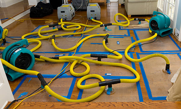 Professional Structural Drying And Dehumidification technician working in Glencoe, IL